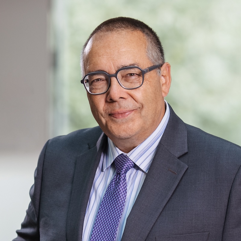 Prof. Dr. Helmut Krcmar